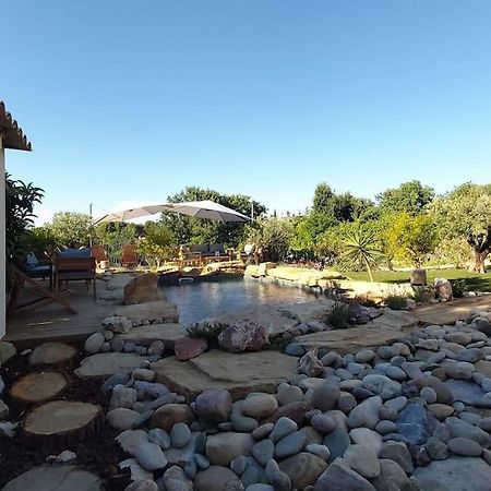 Une Oasis Au Pays De Cezanne Aix-en-Provence Ngoại thất bức ảnh