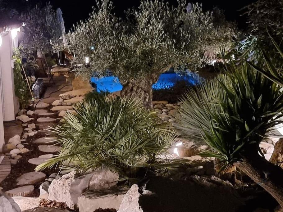 Une Oasis Au Pays De Cezanne Aix-en-Provence Ngoại thất bức ảnh
