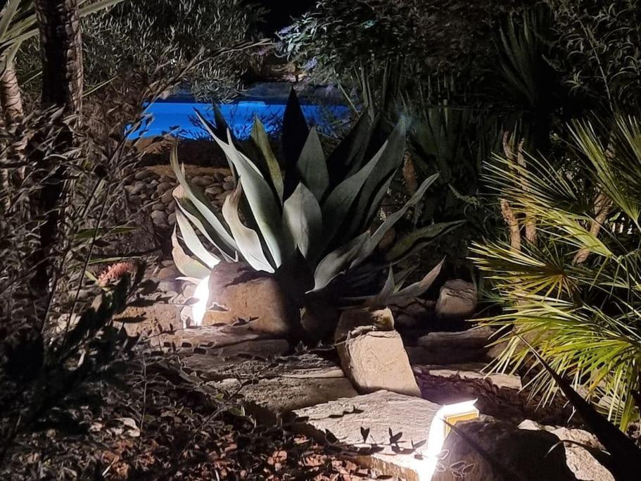 Une Oasis Au Pays De Cezanne Aix-en-Provence Ngoại thất bức ảnh